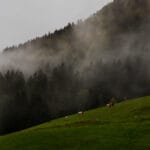 글로임 크리에이티브 디렉터 장현정 촬영 강릉 송정해변 풍경